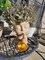 Face Planter Pots Head Flower Pots Planters for Indoor Plants Plant Pots for Succulent Ideal Present Ideas